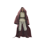 Star Wars The Vintage Collection 3.75" Jedi Master Indara (The Acolyte)