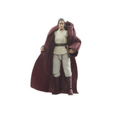 Star Wars The Vintage Collection 3.75" Jedi Master Indara (The Acolyte)