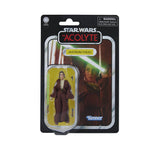 Star Wars The Vintage Collection 3.75" Jedi Master Indara (The Acolyte)