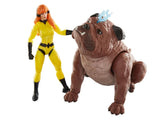 Marvel Legends Crystal and Lockjaw 2 pack