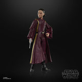 Star Wars Black Series Padme Amidala (The Phantom Menace)