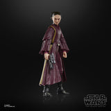 Star Wars Black Series Padme Amidala (The Phantom Menace)