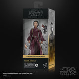 Star Wars Black Series Padme Amidala (The Phantom Menace)