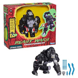 Transformers Beast Wars Retro Reissue Optimus Primal